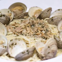 Navesink Fishery - Tonight is all about seafood! There's no better place to enjoy a delicious seafood dinner than right here at Navesink Fishery,