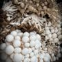 Photo of Boyne City Farmers Market