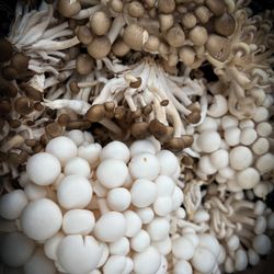 Boyne City Farmers Market