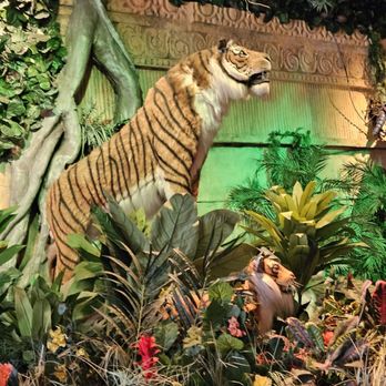 Rainforest Cafe - Cafes Near Me - Niagara Falls, New York Rainforest Cafe - Cafes Near Me - Niagara Falls, New York