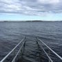 Photo of Nøtterøy Familiecamping Fjærholmen