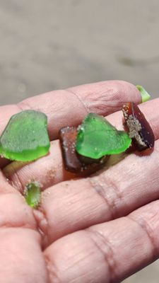 Butterfly Beach by null