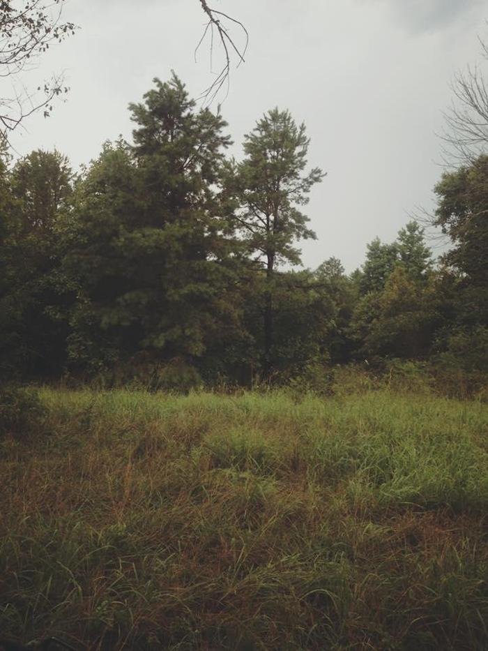 Slide of Mandy's Septic Solutions