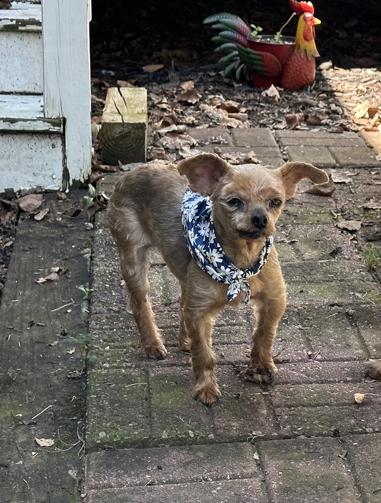 ABBOTTS GROOM & BOARD Updated August 2024 15 Reviews 1331 Wiley Lewis Rd, Greensboro