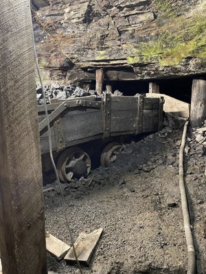 Beckley Exhibition Coal Mine by null