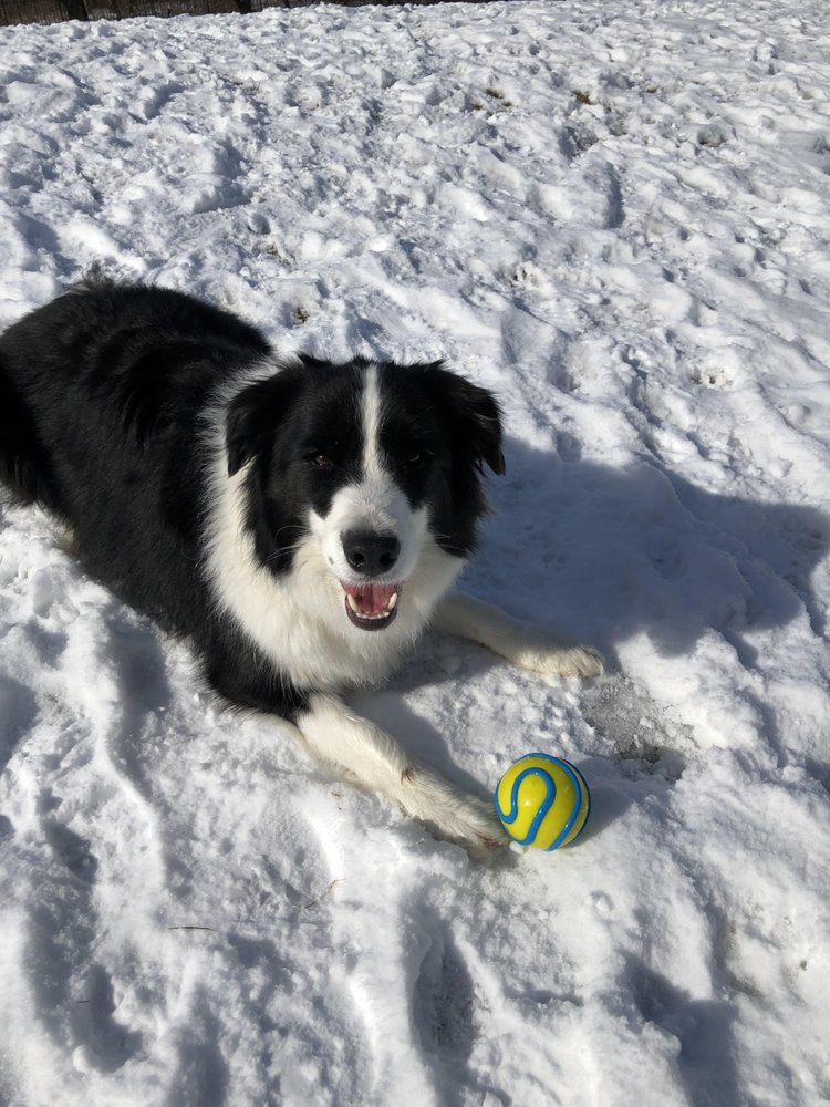 BROTHERS COUNTRY SUPPLY Updated September 2024 117 S Center St