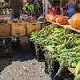 Forest Park Farmer's Market