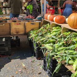 Forest Park Farmer's Market