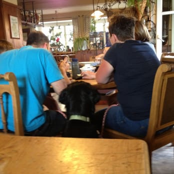 Goldenes Kreuz - I love Deutschland's dog friendly establishments! - Italian Near Me - Parsberg, BY