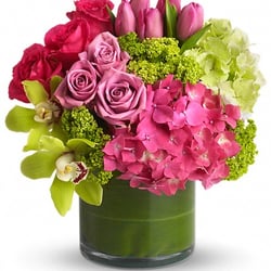 Anton's Florist - New Sensations
