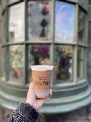 The Wizarding World of Harry Potter by null