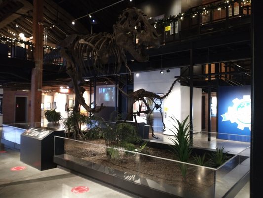 Houston Museum of Natural Science at Sugar Land by null