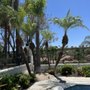 L&P Tree Service