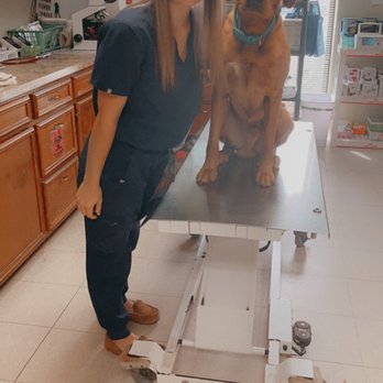 Byram Animal Hospital - Veterinarians Near Me - Terry, Mississippi Byram Animal Hospital - Veterinarians Near Me - Terry, Mississippi