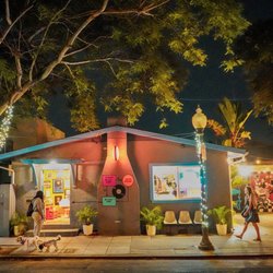 Vinyl Junkies - Vinyl Junkies at night.  The shop is dog friendly too.