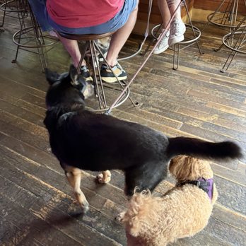 The Moonlight Mile - Pup party - Cocktail Bars Near Me - Brooklyn, New York