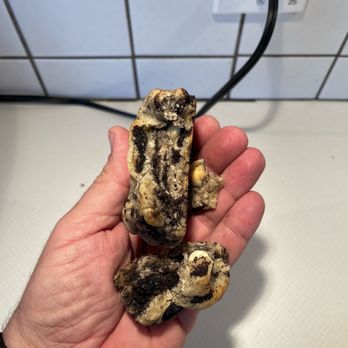 Feed The Cheeks - Cookies and cream. - Desserts Near Me - Cranston, Rhode Island