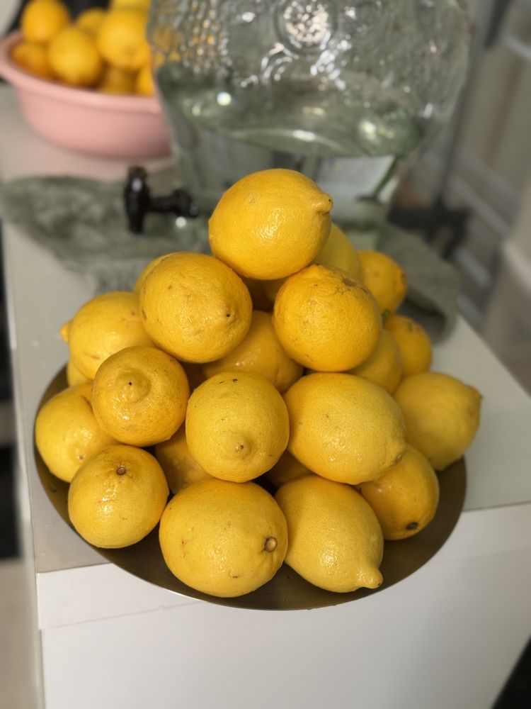 L2Y Organic Spa Logo