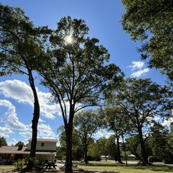 Total Tree Care