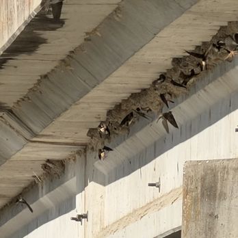 Trinity Trails - Swallows - Parks Near Me - Fort Worth, Texas