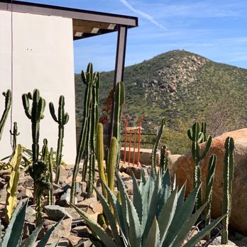 Viñedos de la Reina - Love the views - Wine Tasting Room Near Me - Guadalupe, NLE Viñedos de la Reina - Love the views - Wine Tasting Room Near Me - Guadalupe, NLE