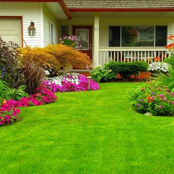 Wiltondale Lawn Care - Lawn Services Near Me Wiltondale Lawn Care - Lawn Services Near Me