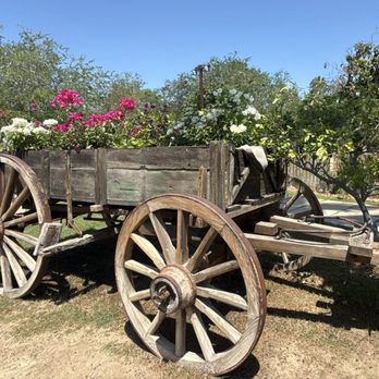 Flora's Farm - Farmers Market Near Me - Ánimas Bajas, BCS