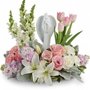 Photo of Floral Elegance