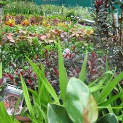 Redback Landscape Supplies