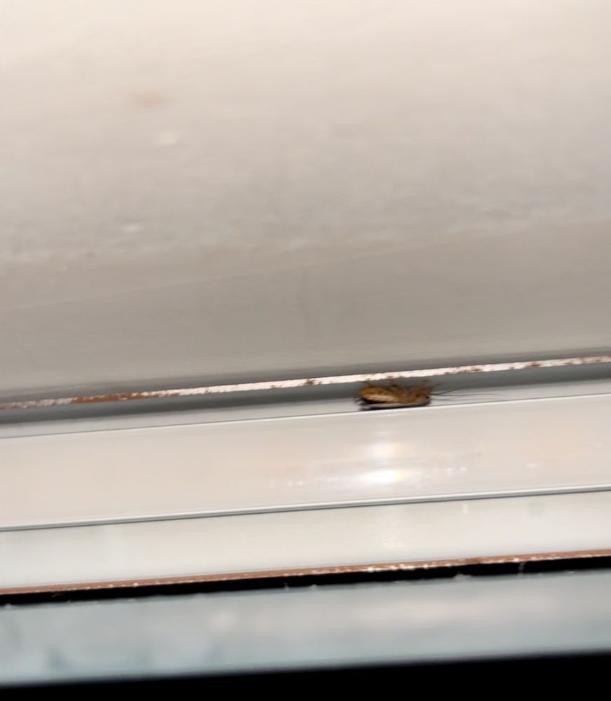 Signature San Francisco