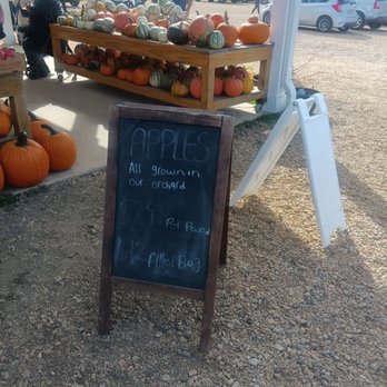 Cullipher Farm - Pumpkins - Farmers Market Near Me - Virginia Beach, Virginia Cullipher Farm - Pumpkins - Farmers Market Near Me - Virginia Beach, Virginia