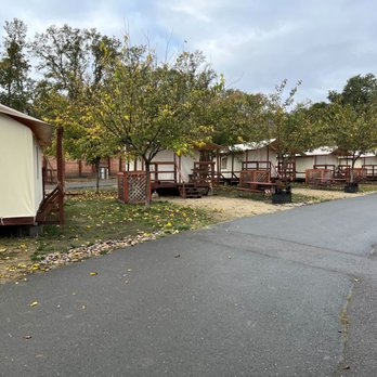 Wildhaven - Rows of tents - Campgrounds Near Me - Healdsburg, California Wildhaven - Rows of tents - Campgrounds Near Me - Healdsburg, California