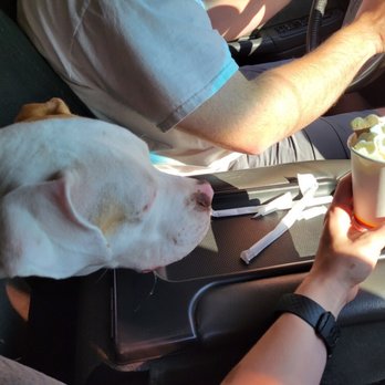 Dutch Bros Coffee - Dutch Pup - Coffee & Tea Near Me - Vancouver, Washington Dutch Bros Coffee - Dutch Pup - Coffee & Tea Near Me - Vancouver, Washington
