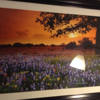 Wyndham Garden - Such a beautiful photo - Hotels Near Me - Austin, Texas