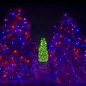 Blossoms of Light - Botanical Gardens Near Me - Denver, Colorado