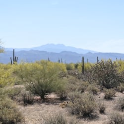 View of Four Peaks