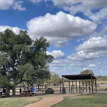 Rhinory - View of the backyard space next to Rhino area - Wineries Near Me - Fredericksburg, Texas