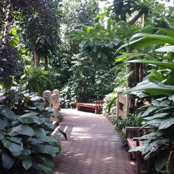 Olbrich Botanical Gardens - Conservatory - Botanical Gardens Near Me - Madison, Wisconsin