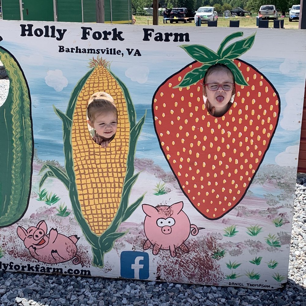 Holly Fork Farm - Pumpkin Patches Near Me - Barhamsville, Virginia