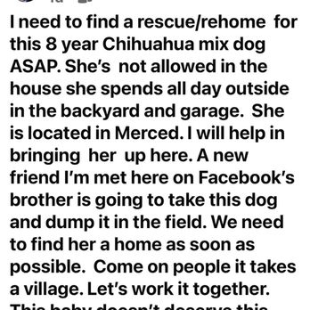 SAN JOSE ANIMAL CARE CENTER - Updated November 2024 - 387 Photos & 410