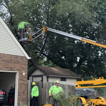 Kansas Tree Experts - Tree Services Near Me - Wichita, Kansas