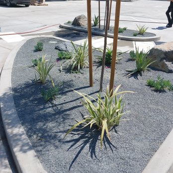 Flores Artscape - Landscaping Near Me - Los Angeles, California Flores Artscape - Landscaping Near Me - Los Angeles, California