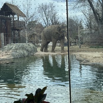 Denver Zoo - Zoos Near Me - Denver, Colorado Denver Zoo - Zoos Near Me - Denver, Colorado