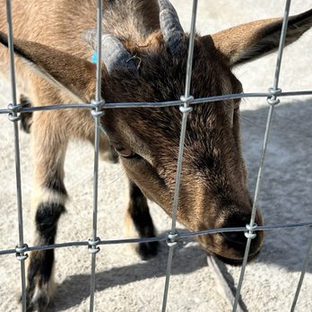 Elawa Farm - Parks Near Me - Lake Forest, Illinois