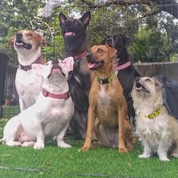 All my babies healthy  All About Animals is my secret