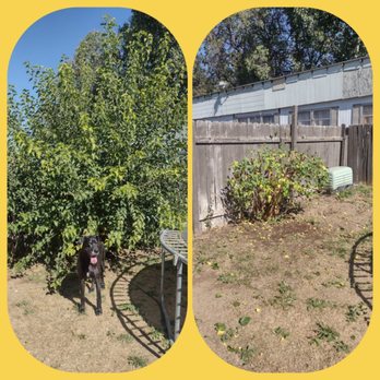 Ez Landscape And Maintenance - Lawn Services Near Me Ez Landscape And Maintenance - Lawn Services Near Me