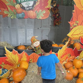 Pinto's Farm - So cute! - Venues & Event Spaces Near Me - Miami, Florida Pinto's Farm - So cute! - Venues & Event Spaces Near Me - Miami, Florida