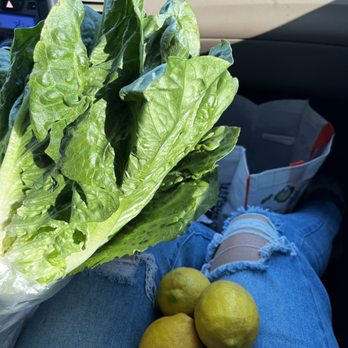 Gilbert Farmers Market - Lettuce  & free lemons - Farmers Market Near Me - Chandler, Arizona