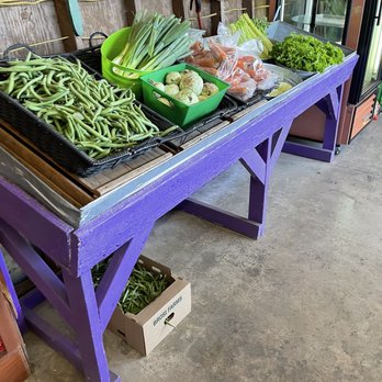 Brosi Sugar Tree Farms - Green beans picked this morning - Fruits & Veggies Near Me - Winston, Oregon Brosi Sugar Tree Farms - Green beans picked this morning - Fruits & Veggies Near Me - Winston, Oregon