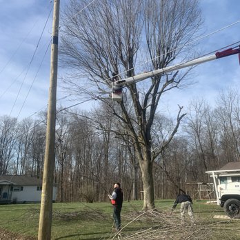 Top Too Bottom Tree Care - Tree Services Near Me Top Too Bottom Tree Care - Tree Services Near Me